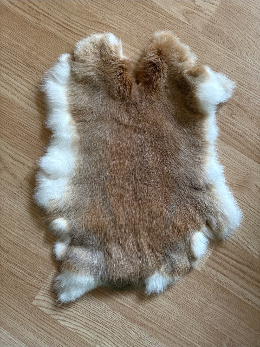 B0099 Tan and Cream